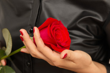 Obraz na płótnie Canvas red rose in her hand on a black background