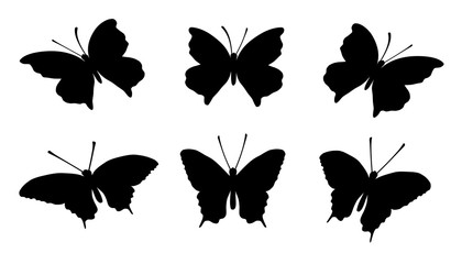 Schmetterlinge - 2 © Salome