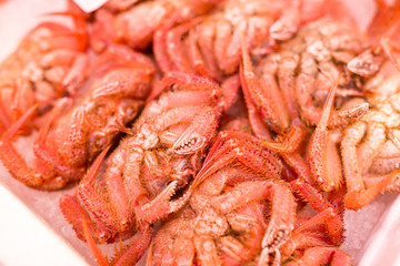 Fresh hairy crab