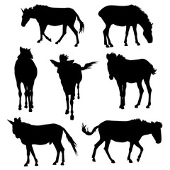 collection of silhouette realistic horses, vector animal sign