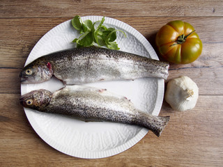 Two raw trout in a plate
