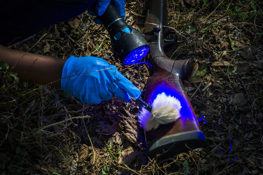 Police forensics at Hunting Rife at Rhino-poachers crime scene