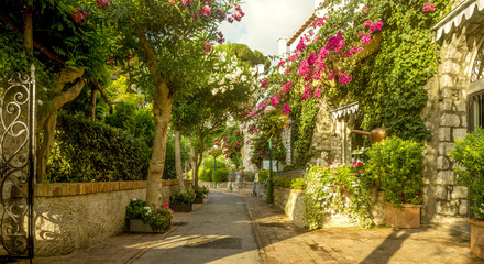Beautiful alley full of trees and flowers on Capri Island, Italy