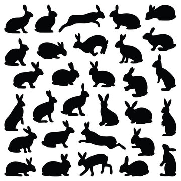 Rabbit and Hare collection - silhouette illustration