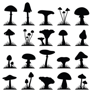 Mushroom and toadstool collection - silhouette illustration