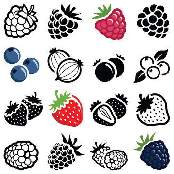 Berry fruit icon collection - illustration
