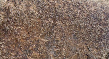 Stone