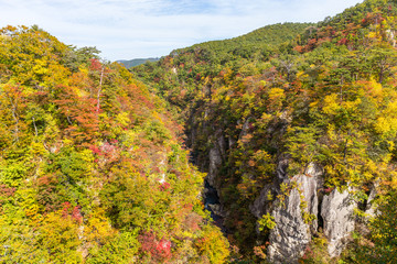 Naruko canyon with autumn foliage in Japan