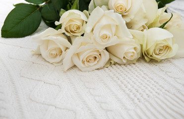 Obraz na płótnie Canvas roses on a knitted white background