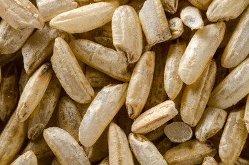 Uncooked raw wild rice. Food background. Healthy lifestyle concept. Closeup macro shot.