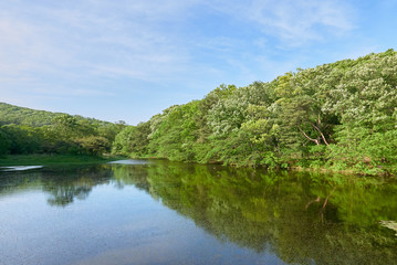 Landscape with big pond