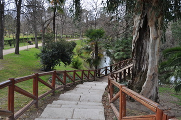 Fototapeta na wymiar Parco del Retiro - Madrid