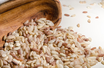 Mix of different rice types rose, wild, brown, arborio in the wooden spoon. Closeup macro shot.