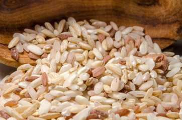Mix of different rice types rose, wild, brown, arborio in the wooden spoon. Closeup macro shot.