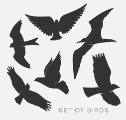 Obraz na płótnie Canvas set of silhouettes of birds