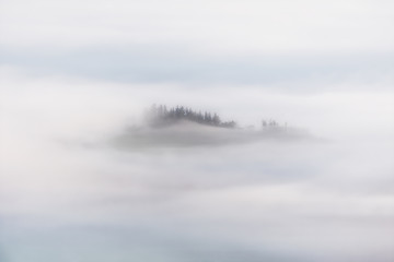 morning fog - 132116116