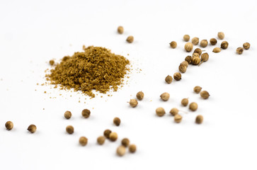 coriander seeds and powder scattered on the white background