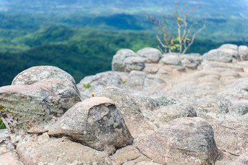 Lan Hin Pum (natural phenomenon) at Phu Hin Rong Kla national pa
