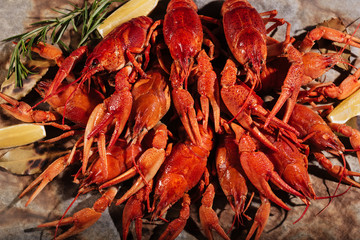 Close up of crayfishes with lemon lying on pita