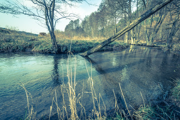Natural landscape of river in the forest in spring