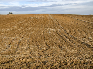 Campo arado para siembra