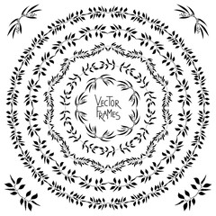 Set of decorative floral round frames and corner