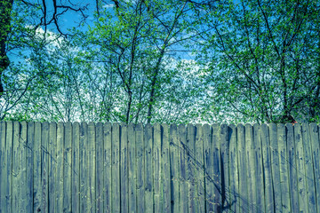 Fototapeta premium Rural wooden fence, countryside landscape with spring green trees