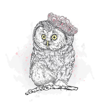 Funny owl wearing a crown. Vector illustration.