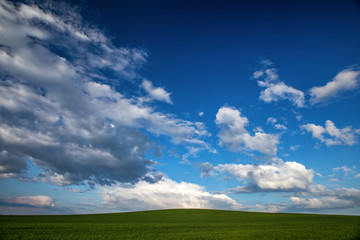 Green field and blue sky