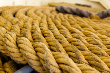 Twisted rope texture