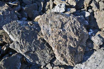Lignite coal