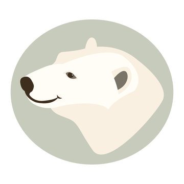 polar bear  head  vector illustration style Flat