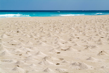 The beach of Ras Irisseyl on Socotra island