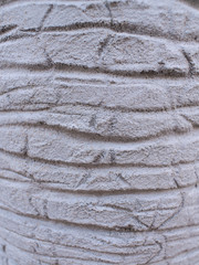Textured Trunk of a  Statue