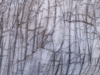 Textured Body of The Statue of Elephant