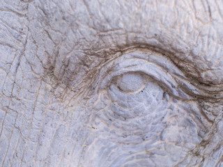 Textured Eye of The Statue of Elephant