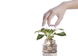 hand holding coin with plant no glass bottle of pingy bank isolated on white background, concept in growth,save and finance