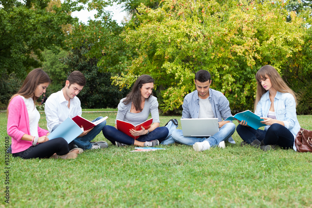 Wall mural Students studying outdoor