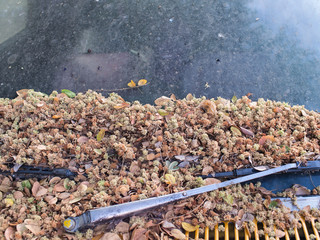 Dried Flowers,Twigs,Dried Leaves Scattered