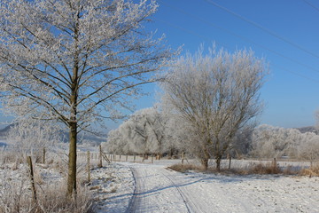 Tiefer Frost im Hörseltal