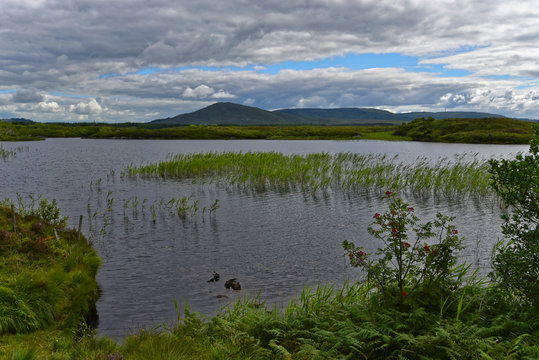 Irland - Joyce Country Im County Galway