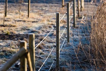 Shallow focus electric fence. Focus on center pole and insulators. Frost on ground and pole. Farmland on one side of the fence and reed on the other. Background blurred. - 132128159