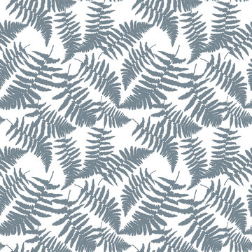 Pattern with blue ostrich fern leaves.