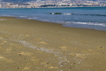 Snowy beach and sea at winter with blue sky