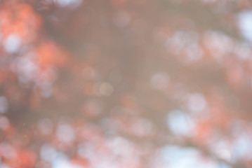 Bokeh Background