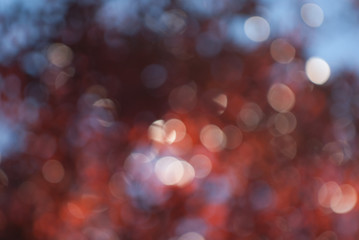 Bokeh Background