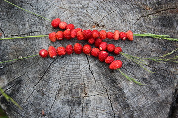 Wild strawberry BBQ