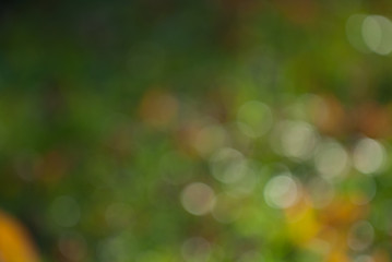 Bokeh Background
