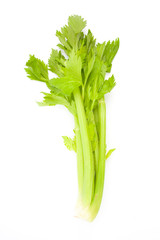 celery isolated on white