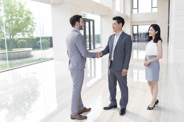Fototapeta premium Business people shaking hands